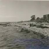 Strandparti vid den fridlysta Adonis-ängen.