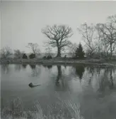 Varvet vid Värnanäs.