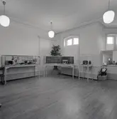 Leksaksutställning 20/2-20/3 1966