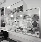 Leksaksutställning 20/2-20/3 1966