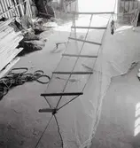 Kalven till Manuel Petterssons not.