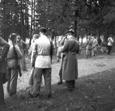 Hemvärnet. Oktober 1944

