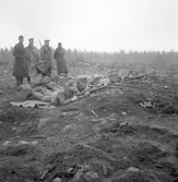 Hemvärnet. Oktober 1944

