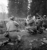 Hemvärnet. Oktober 1944

