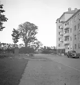 Reportage för Gefle Dagblad. Nybyggen. År 1936