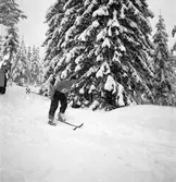 Reportage för Gefle Dagblad. Skidtävling. Distriktmästerskap och 3 milen. År 1936

