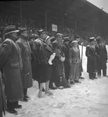 Reportage för Gefle Dagblad. Vivi-Ann på Strömvallen. Konståkning. År 1936
