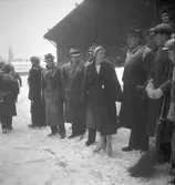 Reportage för Gefle Dagblad. Vivi-Ann på Strömvallen. Konståkning. År 1936

