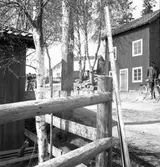 Bilolycka vid Åsbyggeby. Maj 1937

