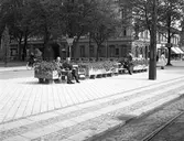 Blomstersoffor på Nygatan. Sjöbergs konditori . Reportage för Gefle Dagblad


