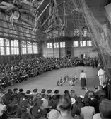 Gymnastikkursen. I 14. Oktober 1937





