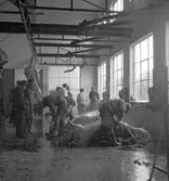 Slakthuset, Valbo. Oktober 1937





