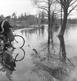 Reportage för Gefle Dagblad. Vårbilder 1936




