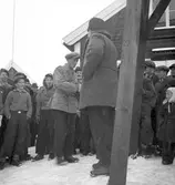 Polisens stafettävling. Skidåkning. 1935



