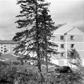 År 1957. Husexteriör.




