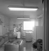 Den 11 februari 1957. Tvättstuga. Tvättning av kläder.




