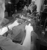 Bellanders syfabrik i Gävle