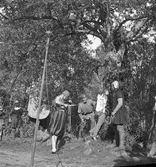 Krönikerspelet på Kungsbäck.