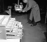 Bil & Buss. Verkstad.





