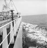 År 1963. Gävle Varv. M/S Nova.

