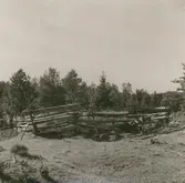 Inhängnad för fårens skull. Eksebo - Brotorp. Eventuellt att Karl Johan Albin Johansson var ägare.