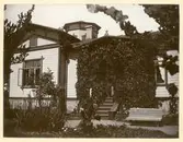 Vildvin och bänkar vid en fritrappa till Carlsbergsvillan i Kalmar.