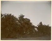 Villan vid Carlsberg 1893.