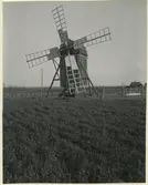 Väderkvarn i Norra Möckleby.