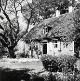 Den 1 maj 1874 förvärvade Hermina von Krusenstierna fastigheten Stora Dammgatan 6 och 11 för 16 000 kronor av konsuln och skeppsredaren Sven Söderberg.