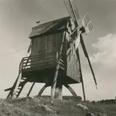 Fru Rosenborgs stubbkvarn.