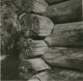 En ängslada med korsknutar i Madesjö.