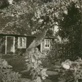 En enfamiljsbostad och trädgård.