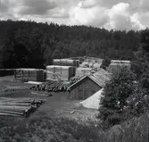 Såg invid gamla prästgården.