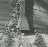 Knut till Strömsebrobyggningen vid Värnanäs.