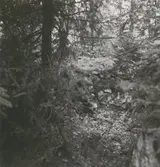 En jordkula i Skällby.