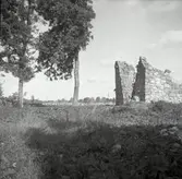 Kronobäcks klosterruin.