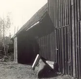 En ekonomibyggnad i kvarter Hagtornet, 2-3.