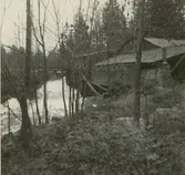 Kvarndammen. Stickhyveln vid fallet.