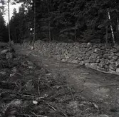 Hammars fäste i Mortorp.