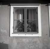 Bostadshus, fönster med spröjs.