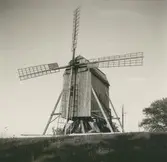 Stubbkvarn i Borga hage.