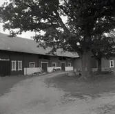 En ladugård i Älgerum