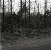 Krokshultstugan under uppförande från sydöst.