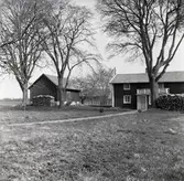 Motiv från en gårdsmiljö i Broby.