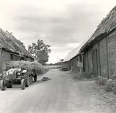 Motiv från Himmelsberga.