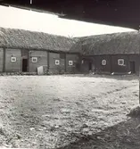 Ladugård med stråtak i Norrby.