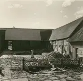 Gården mot portskjulet.