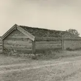 Linbasta på Bernt Nilssens gård.