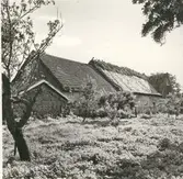John Johanssons gård Kalkstad 2:2. Norra längorna, sedda mot väst.