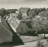 Motiv från en gård i Gettlinge.